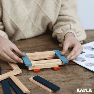 KAPLA - Owl Case